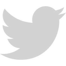 image of twitter icon